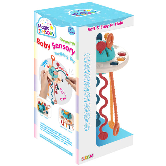 Interactive Baby Sensory Toy