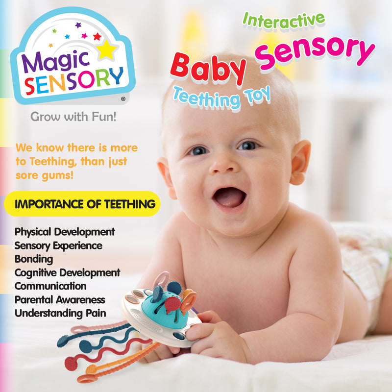 Load image into Gallery viewer, Interactive Baby Sensory Toy
